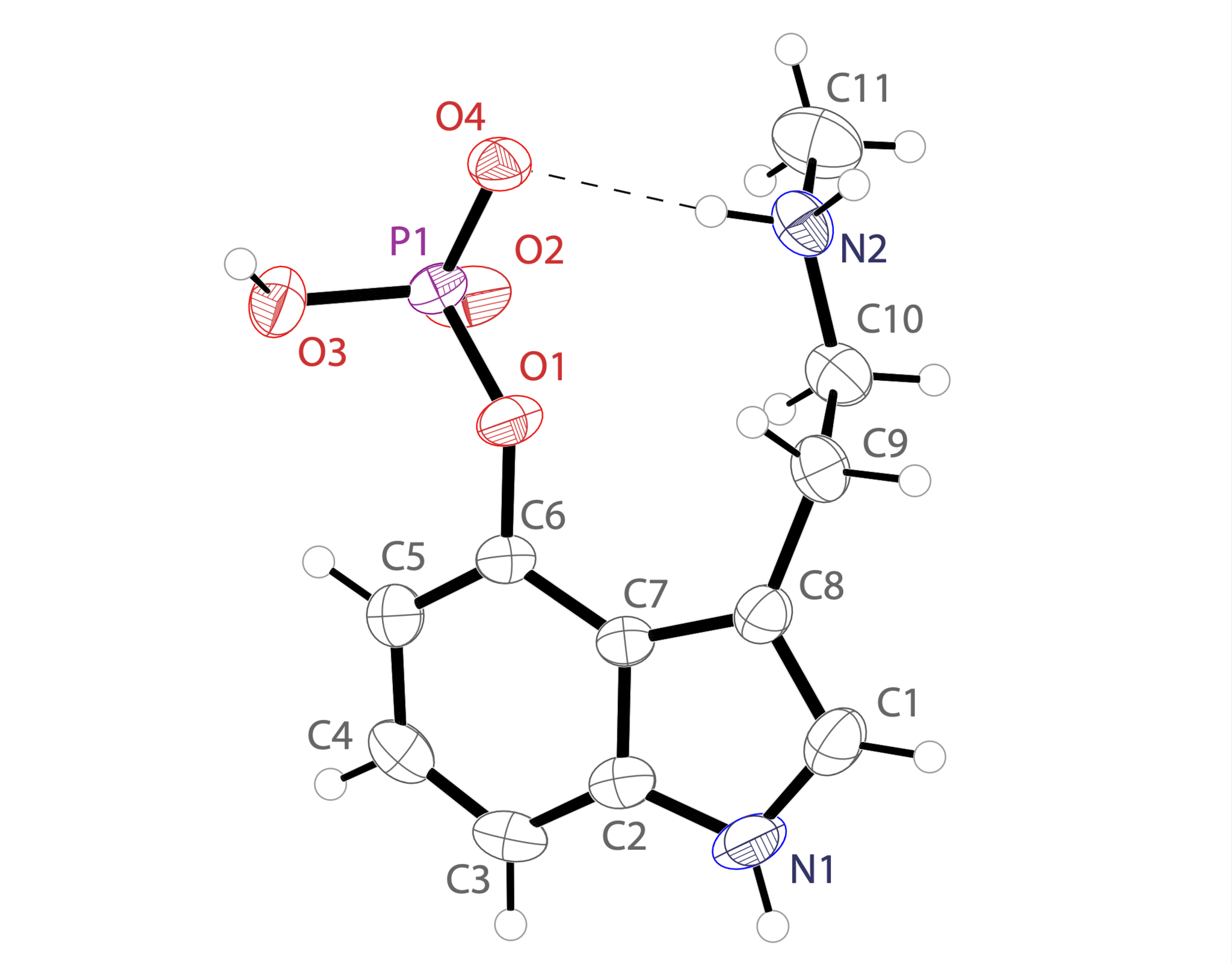 A ball and stick model of the chemical structure of baeocystin