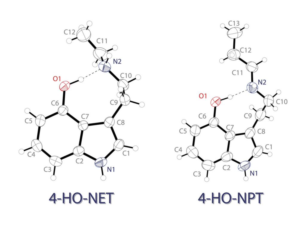4-HO-NET and 4-HO-NPT